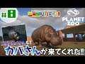 #8【PLANET ZOO】「カバとコビトカバの楽園はココだ！！」【動物園シミュレーター】