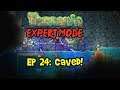 Ep 24: CAVED! Terraria EXPERT MODE Let's Play/Playthrough (1.3 PC Gameplay, 2019)