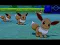 Pokemon Camp FUNNIEST MOMENTS - Eevee Edition
