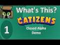 What's This? :: Closed Alpha - Catizens (Demo) - #1 :: 12Jun21