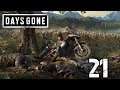 Missing Dialog-Let's Play Days Gone Part 21
