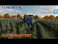 Elmcreek Ep 22     Olive harvest and I try to deal with the weeds     Farm Sim 22