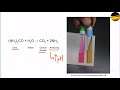 How Bacteria's Can Be Killed? Part - 16 Staphylococcus Epidermidis