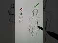 How to draw back anatomy!