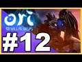 Ori and the Will of the Wisps WALKTHROUGH PLAYTHROUGH LET'S PLAY GAMEPLAY - Part 12
