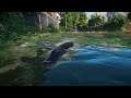 Planet Zoo (PC)(English) #111 7 Minutes of American alligator (North America Animal DLC)