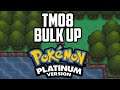 Where to Find TM08 Bulk Up - Pokémon Platinum