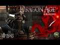 UNA PARAGÓN SIN PARANGÓN | Dragon Age Origins #96