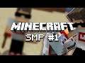 პირველად! Minecraft SMP #1