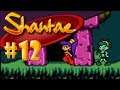 Vamos a jugar Shantae - capitulo 12 - Cueva cacareante