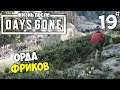 DAYS GONE (ЖИЗНЬ ПОСЛЕ) - Орда Фриков в Пещере Метолиус #19