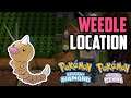 How to Catch Weedle - Pokémon Brilliant Diamond & Shining Pearl