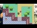 Live Stream - Pokemon Emerald Randomized Nuzlocke Part 7 (2021/04/22)