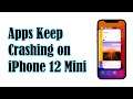 What To Do If Apps Crash on iPhone 12 Mini (iOS 14.4)