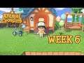 Animal Crossing: New Horizons Week 6 - Renovation