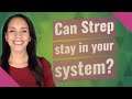 Can Strep stay in your system?