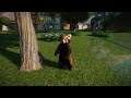 Planet Zoo (PC)(English) #39 6 Minutes of Red Panda