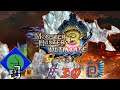 Can Chilly Clak-Clak Stand a Chance? | Monster Hunter 3 Ultimate G-Rank #30