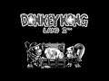 [GB] Donkey Kong Land 2 (1996) 100% Longplay