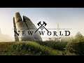 New World | Leveling Skills | PVE Questing | Spec - Range / DPS | Server `Atvatabar