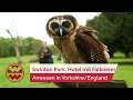 Reise Tipp: Swinton Park Hotel-Anwesen mit eigener Falknerei - LIT | Welt der Wunder