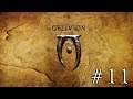 The Elder Scrolls IV: Oblivion ◈ Пираты в море и подробности о культистах ◈ (#11)