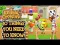 Animal Crossing New Horizons - 10 THINGS YOU NEED TO KNOW!