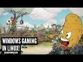 Celebrating Windows Gaming in Linux! (Linux Gaming With Proton Steam Play) Geekoutdoors.com EP1020