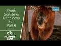 Myers' Sunshine Happiness Zoo Part 6 - Planet Zoo Career Mode EP61