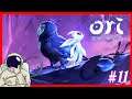 Ori and The Will of The Wisps - Parte 11