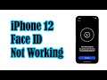 What To Do If Face ID Won't Work On Your iPhone 12