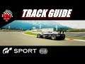 GT Sport FIA Manufacturer Tutorial