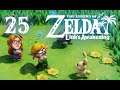 Loose Definition of "Turtle" | The Legend of Zelda: Link's Awakening (Part 25) - Super Hopped-Up