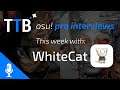 osu! Interviews - WhiteCat