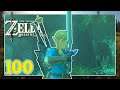 DAS MASTER SWORD! | The Legend of Zelda Breath of the Wild #100