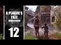[FR] A Plague Tale - ép 12 - gameplay let's play PC