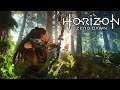 LIVE First Look At Horizon Zero Dawn™ Complete Edition | PC Gameplay
