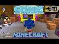 Sonic Minecraft (PS4)