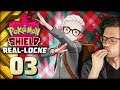 Wild Fashion for the Wild Area - Part 3 - Pokémon Sword and Shield Nuzlocke Challenge (Real-Locke)