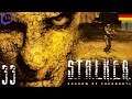 Let's Play STALKER: Shadow of Chernobyl [DE] 33 Duty Calls (Stream 9)