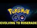 Pokémon GO - Evolving to Roserade