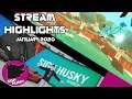 Sigh Husky Stream Highlights - January 2020