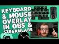 HOW TO SHOW KEYBOARD & MOUSE ON STREAM | STREAMLABS & OBS TWITCH TUTORIAL