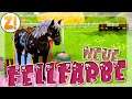 NEUE FELLFARBE! 🐎 SCHLEICH PFERDE SPIEL! #06 | Horse Club Adventures