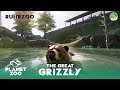 Great Grizzly Bears - Ruhr Zoo - Planet Zoo Franchise Episode 10