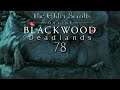 Let's Play ESO - Blackwood: Deadlands [Blind] [Deutsch] Part 78 - Erinnerungen der Anachoretin