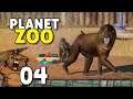 Macacada chegando! | Planet Zoo #04 - Gameplay PT-BR