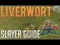 Liverworts (Vile Blooms) slayer guide | Runescape 3