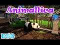 Panda rescue!! Animallica | Beta Gameplay / Let's Play | S5E53