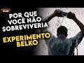 Por que Você NÃO SOBREVIVERIA ao JOGO MORTAL de "EXPERIMENTO BELKO"